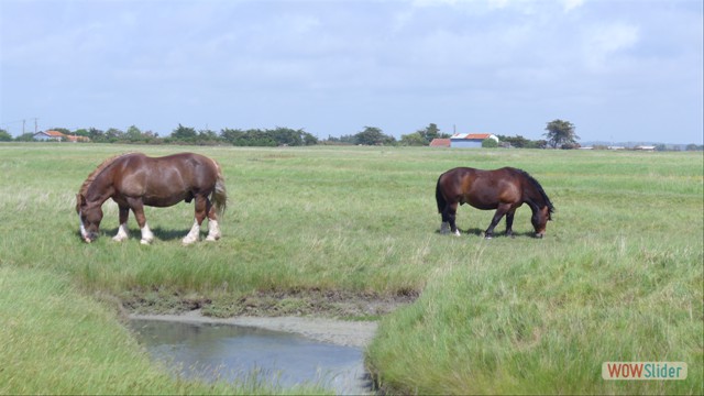 vendee38