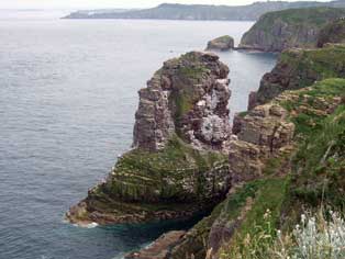 cap frehel